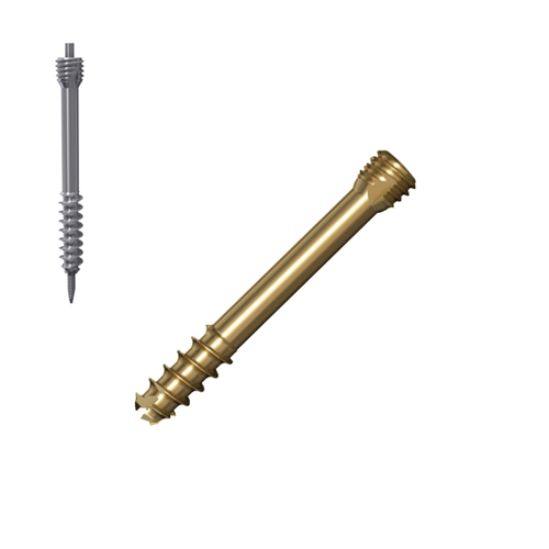 Herbert Screws 2.5/3.5mm Cannulated