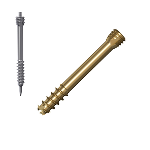 Herbert Screws 3.0/4.0mm Cannulated