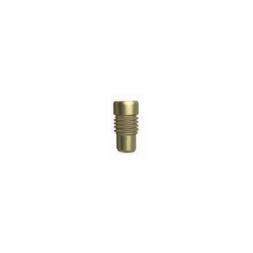 End Cap for For 2nd Proximal Oblique Screw