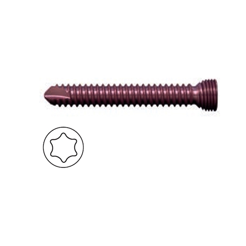 Variable Locking Screw 2.4mm Star Drive