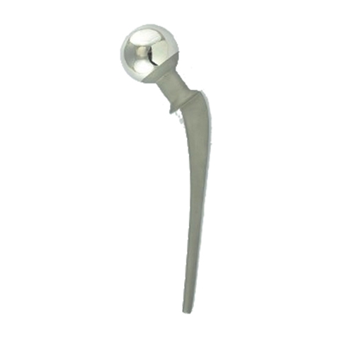 Lazcano Hip Prosthesis