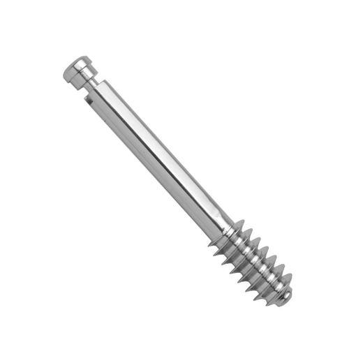 DHS Lag Screw 12.5mm