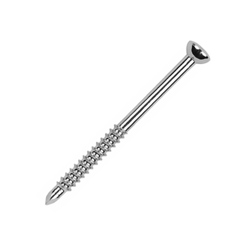 Malleolar Screw 4.5mm