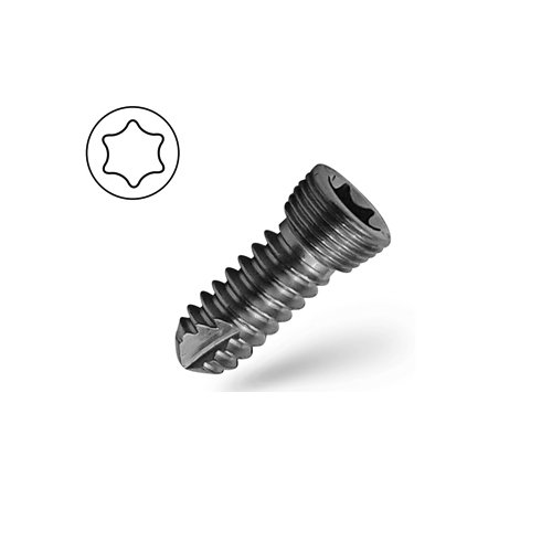 Locking Screw 2.7mm Star Like Self Tapping S.S