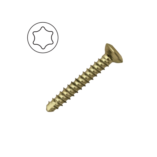 Cortex Screw 2.7mm Self Tapping Star Drive